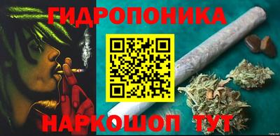 дживик Кингисепп
