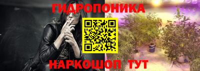 дживик Кингисепп