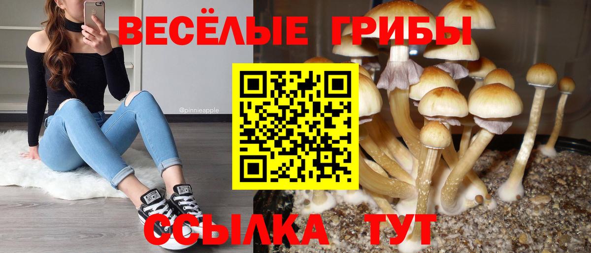 Кострома  Галлюциногенные грибы Magic Shrooms  Вход с VPN 